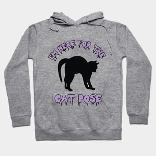 Cat Pose Yoga Humor Asana Black Kitty Hoodie